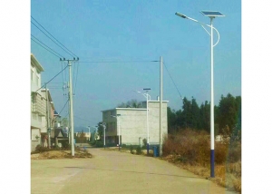 探花系列视频在线單頭