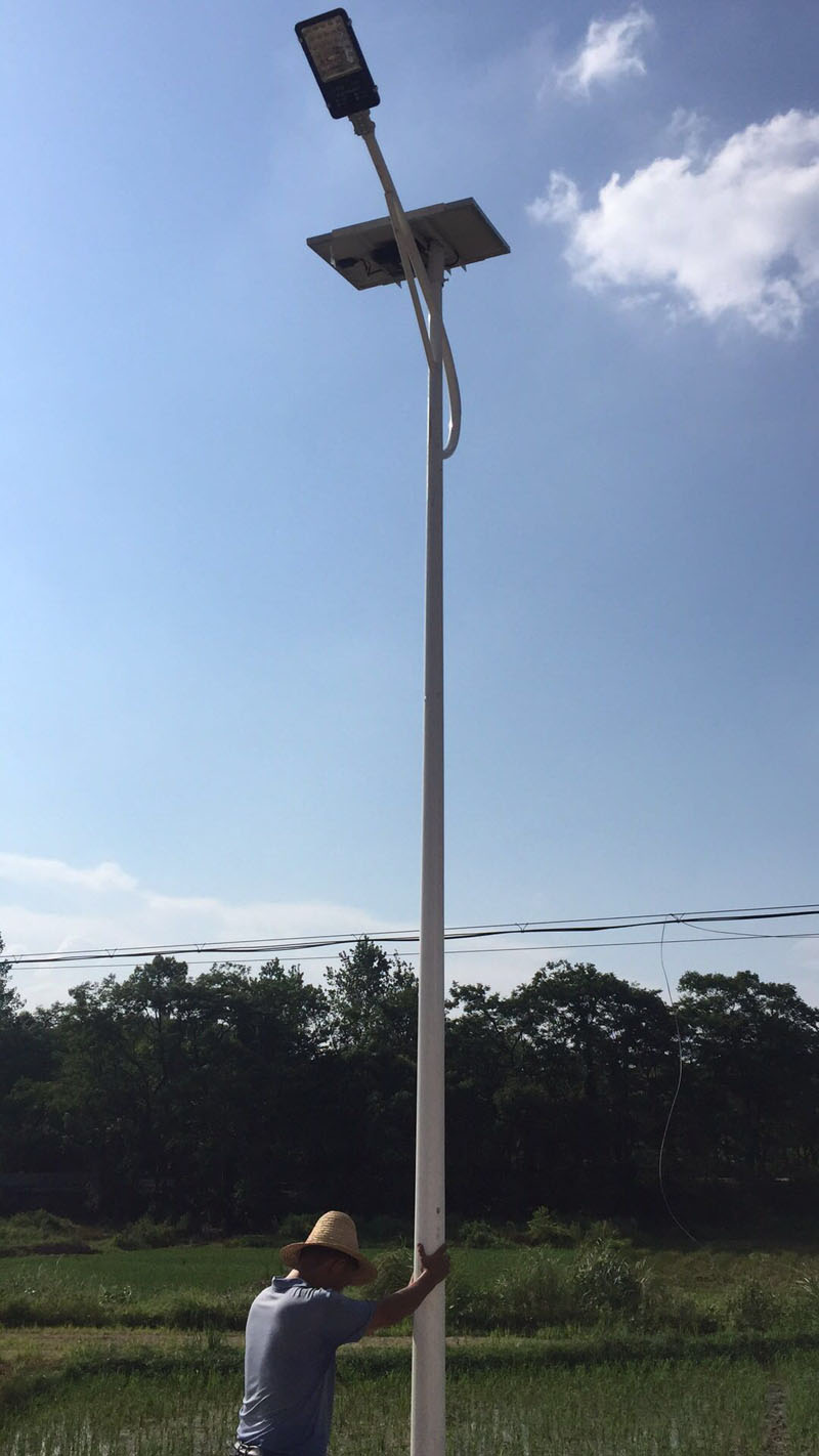 江西探花系列视频在线